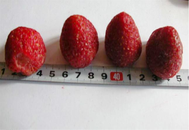 Freeze Dried Strawberries Whole