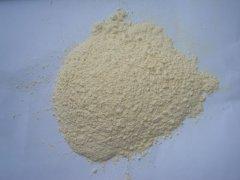 Dehydrated White Onion Powder