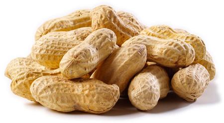 Peanuts in Shell