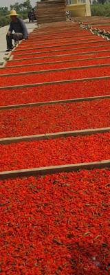 Dried Goji Manufacturer