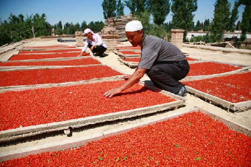 Dried Goji Berries