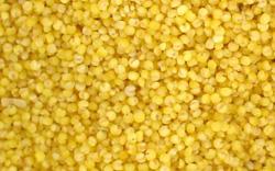 Natural Millet 