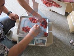 Natural Dried Goji Berries 