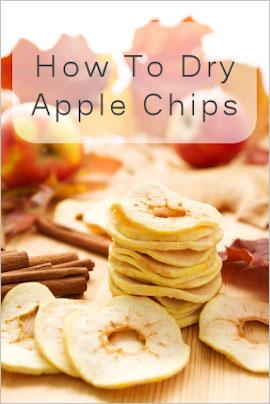 How　to Dry Apple Chips 