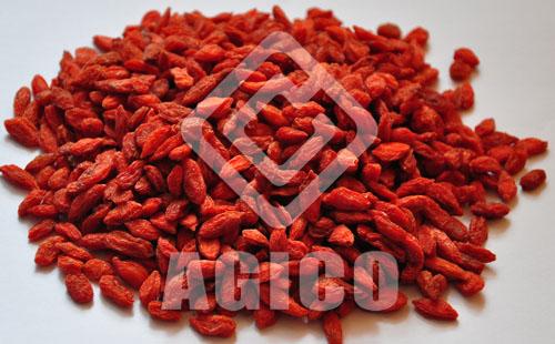 Dried Goji for Sale 